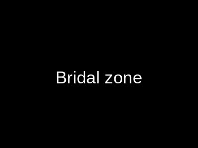 Bridal Zone Anarkali Lahore