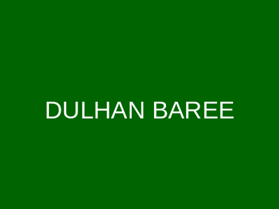 DULHAN BAREE North Nazimabad Karachi