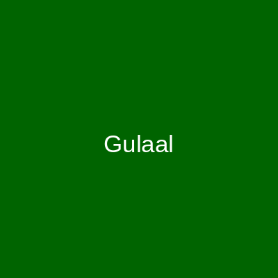 Gulaal Bridals Gulberg 2 Lahore