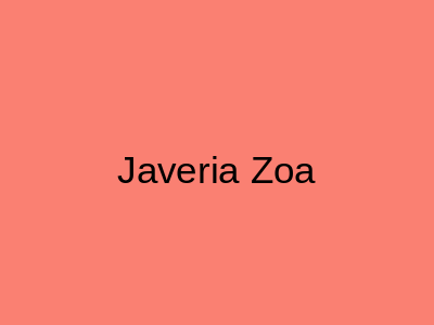 Javeria Zoa DHA Ph 1 Lahore