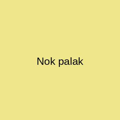 Nok Palak Bridal Studio Lavish Mall Karachi