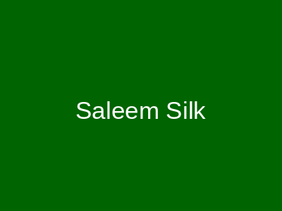 Saleem Silk Orangi Town Karachi