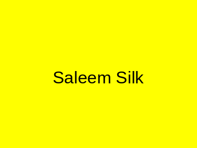 Saleem Silk Bridals Orangi Town Karachi