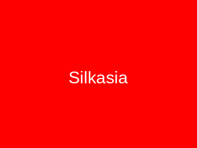 SilkAsia Orangi Town Karachi