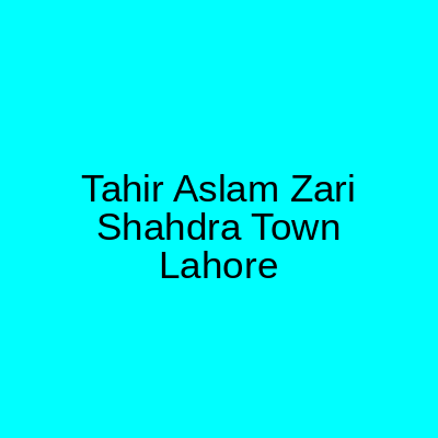 Tahir Aslam Zari Shahdra Town Lahore