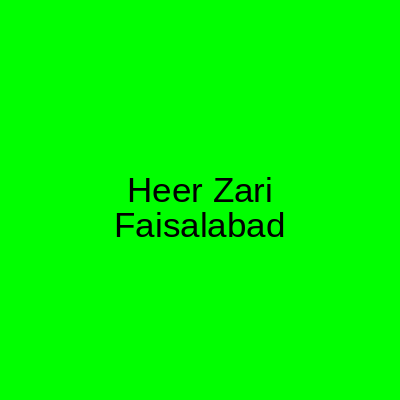 Heer Zari and Bridals Faisalabad