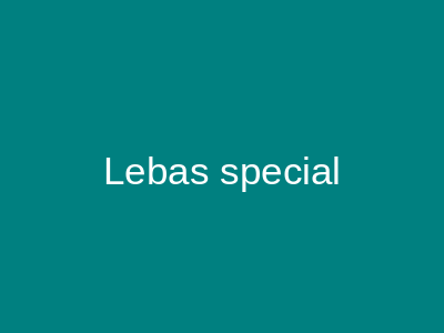 Lebas Special Bridals Islamabad
