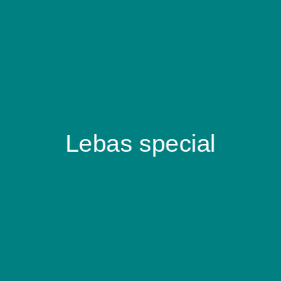 Lebas Special Bridals Islamabad